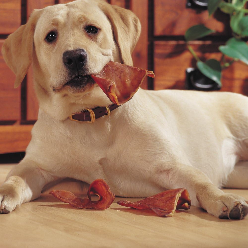 USA Pig Ears by EcoKind Dog Treats and Chews Thick-Cut, All Natural Dog Treats  10.00% Off Auto renew
