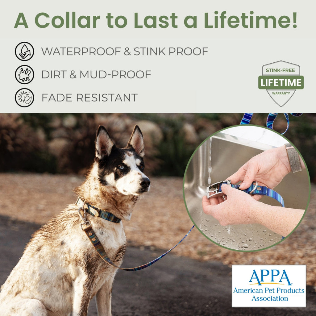 Waterproof Dog Collars – Washable Dog Collar, Stink-Proof & Durable